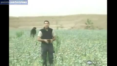 Here you can see how the US military guards the poppy fields in Afghanistan