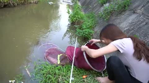 Beautiful Girl Fishing Catfish After The Rainy Season