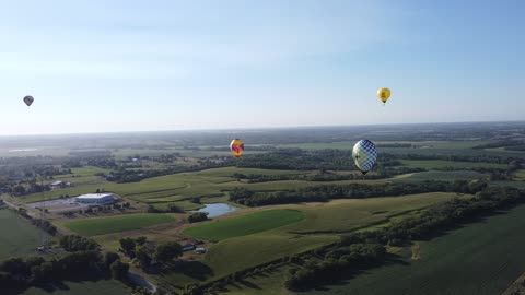 Hot air balloons