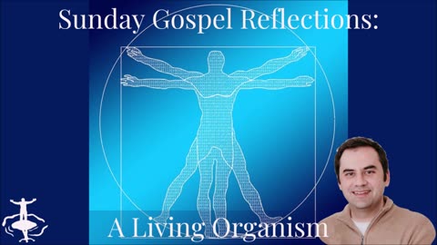 A Living Organism: 13th Sunday in Ordinary Time