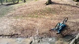 Kid in blue crashes bike into fall leaves