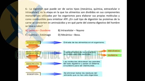 REPASO GRUPO SAN MARCOS 2022 | Nivelación | Biología