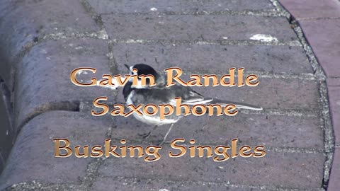 Gavin Randle Saxophone Wonderfull tonight. Ocean City music 2017