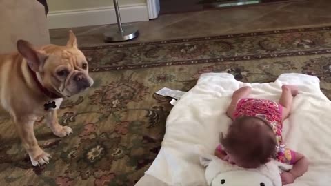 Dog and Baby Crying Together