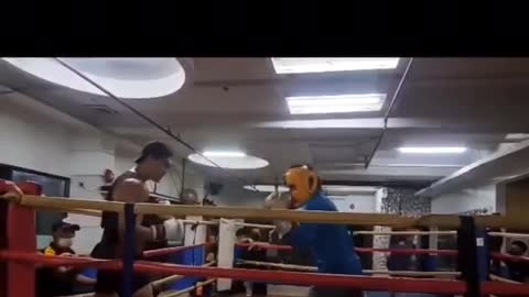 Boxing Training Montage 2022
