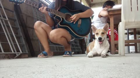 Guitar Strums Make Pup Sleepy