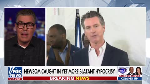 Even Newsom doesn't believe what he says: Carolla