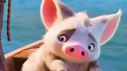 What a cute pig