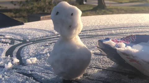 Snowman in Florida