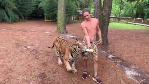 Walking My Tiger Best Friend! | Myrtle Beach Safari