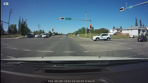 Red deer traffic / Red light