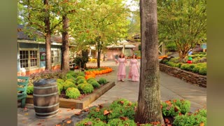 Dollywood debut - Cotton Pickin Kids