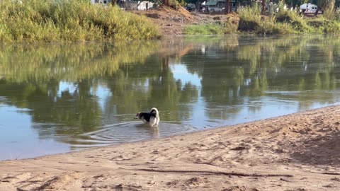 Swimming the Colorado River in Yuma