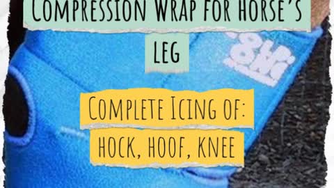 ColdOne Hock, Hoof And Knee Ice Compression Wrap