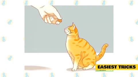 Simple And Easy Tricks You Can Teach Your Cat .