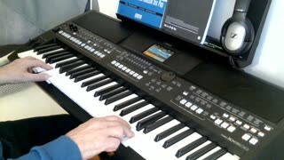 Du bist nicht allein (Roy Black) cover by Henry, Yamaha PSR-SX600