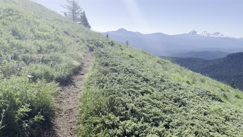 Entering the GORGEOUS "The Sound of Music" Style Wildflower Hillside of Crescent Mountain – 4K