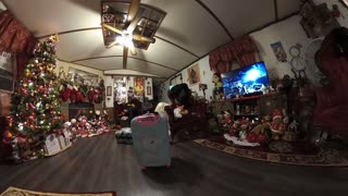 Blasian Babies Brother And Sister Are Packing Luggage After Spending New Years Day With Grandparents