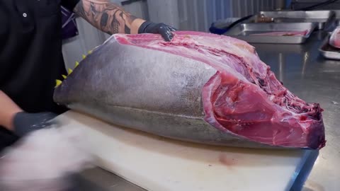Art of Tuna Slicing Unveiling the World's Sharpest Tuna Knife for Exquisite Sashimi Cuts