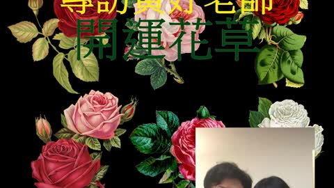 居家風水 專訪黃妤老師 「開運花草」