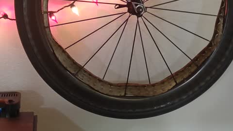 Snake Takes Bike Wheel for a Spin