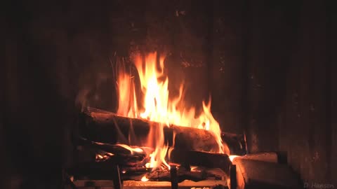 The Best Fireplace Video (3 hours) #christmas #fire #fireplace #santa