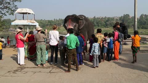 View of tourists taking photos of elephant in Hampi