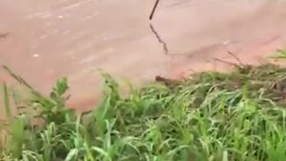 Massive Flooding Washes Road Away