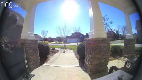 Watch How This Dog Uses a Ring Video Doorbell to Get Back In The House RingTV