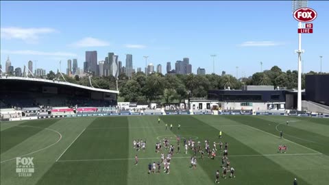 Carlton Blues vs Geelong Cats - AFL 2024 Match Simulation