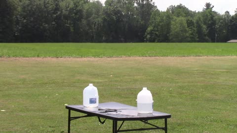 450 bush master vs water jugs