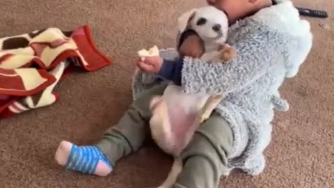 Baby playing with cute puppy