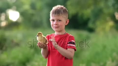 a cute little boy holds a small duck