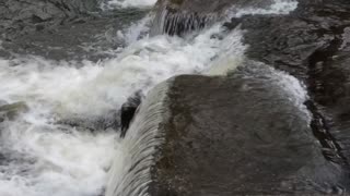 Cascading Creek Water Blocks Out City Noise