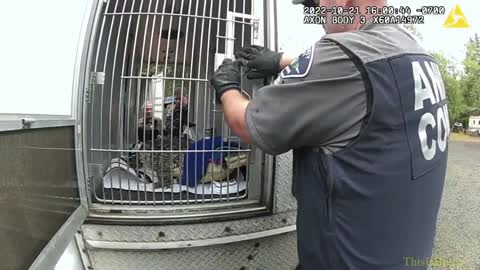 Pierce County deputies remove pet alligator from shipping container