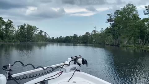 Boat Ride, Santa Rosa, FLA