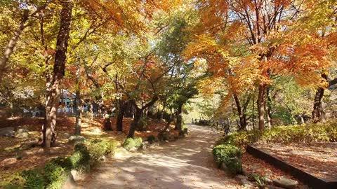 Gwanaksan Park , Autumn scenery in Korea
