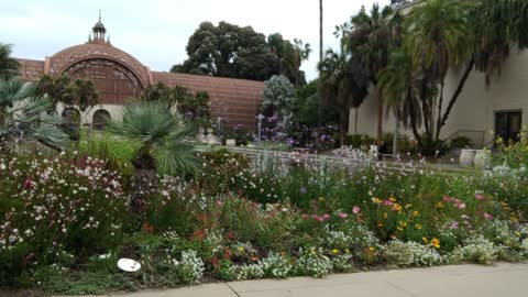 The Pond at Balboa Park 🦆🏞️🐢