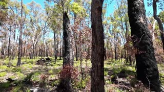 Bibbulmun Track Day 7 Mt Dale To Brookton