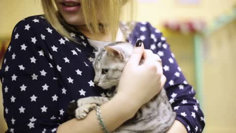 Asian woman girl stroking a worried gray cat, looking at camera, smiling