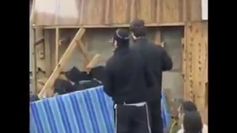 Rabbi's Tossing Child Size Mattress From Tunnels