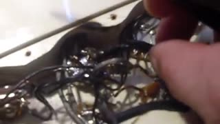 GIBSON 2011 SG WIRING RATS NEST