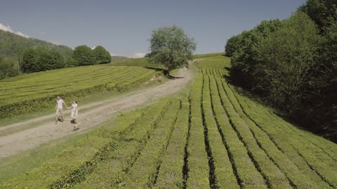 couple running on the field -my vilage