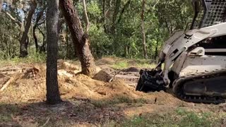 BUYING NEW STUMP BUCKET FOR BOBCAT