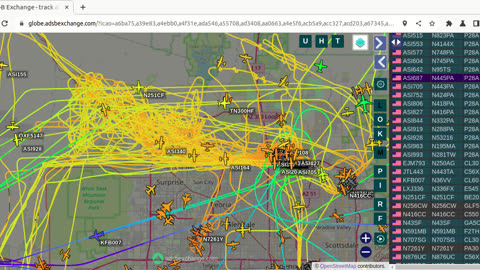 BIRD MAFIA GANG BANG Phoenix AZ Feb 9th 2024 - 11am report -