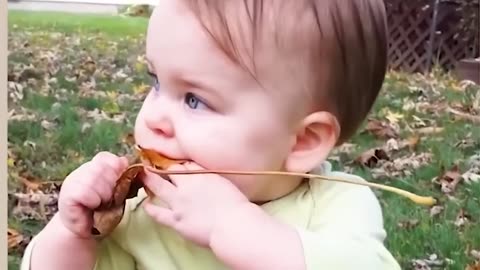 Funniest Babies Playing Outdoor Moments - FUNNY VIDEOS