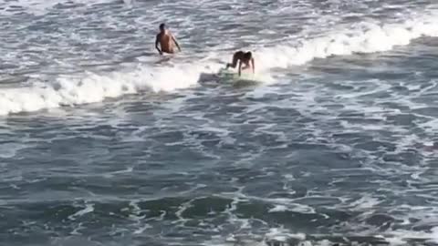 Two guys surfing small waves green board
