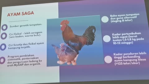 P05 Faktor Mempengaruhi Pertumbuhan Cepat Ternakan Ayam, Mardi Serdang 31 Jul 2024