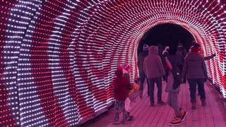 Luminaria Christmas Light Archway