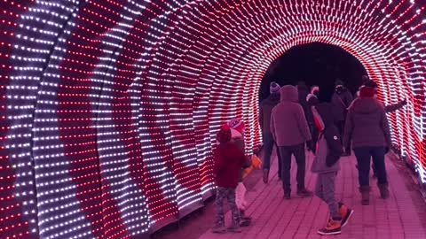 Luminaria Christmas Light Archway